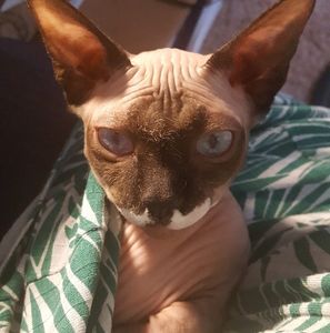 Meet your Posher, Kerry